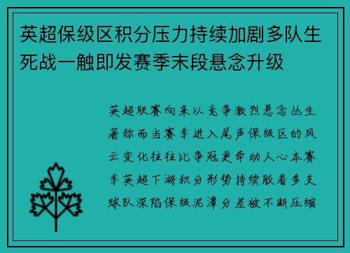 英超保级区积分压力持续加剧多队生死战一触即发赛季末段悬念升级 英超保级区积分压力持续加剧多队生死战一触即发赛季末段悬念升级